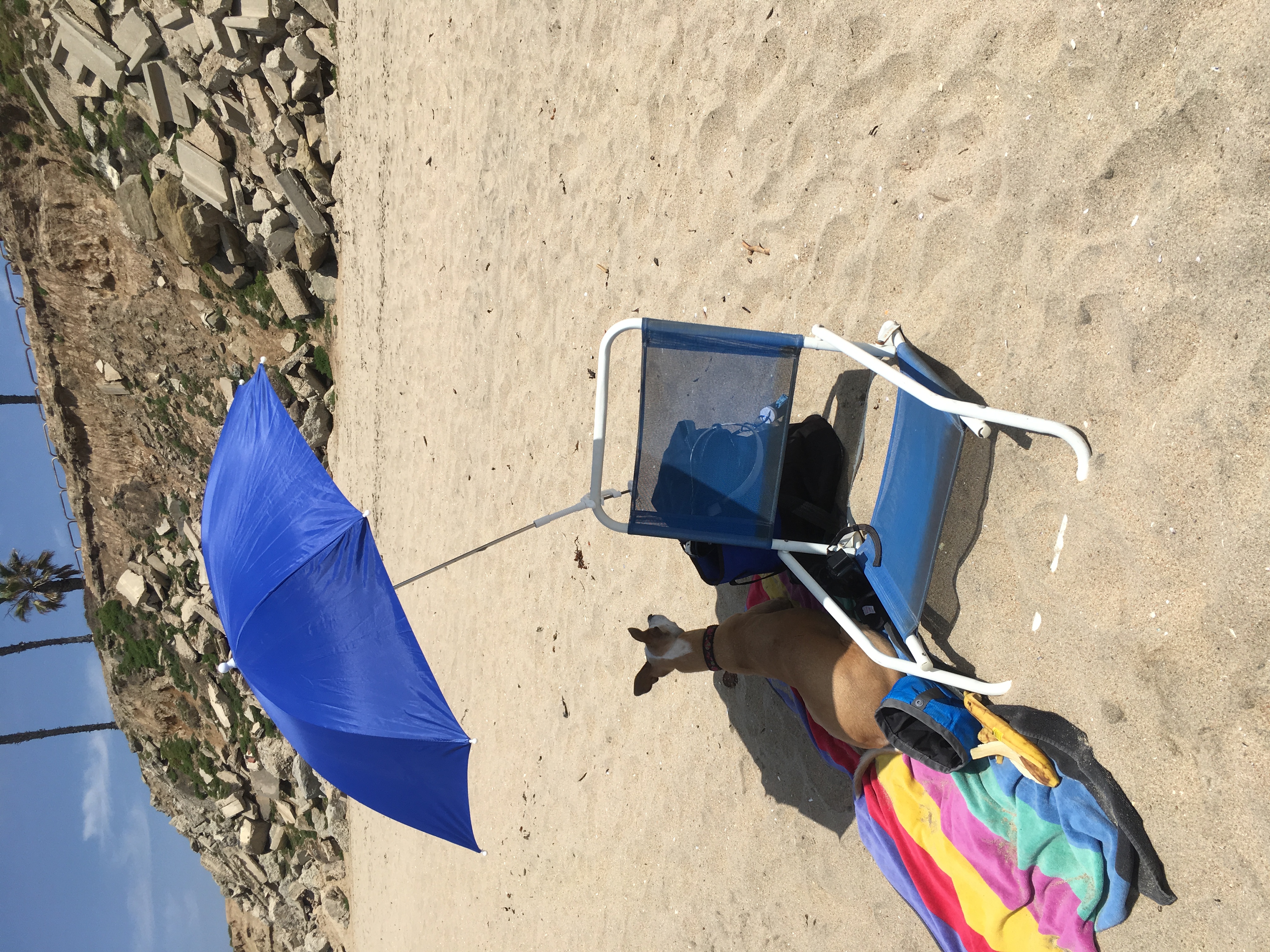 At the beach